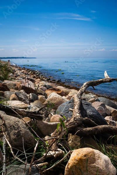 Obraz beach and chill