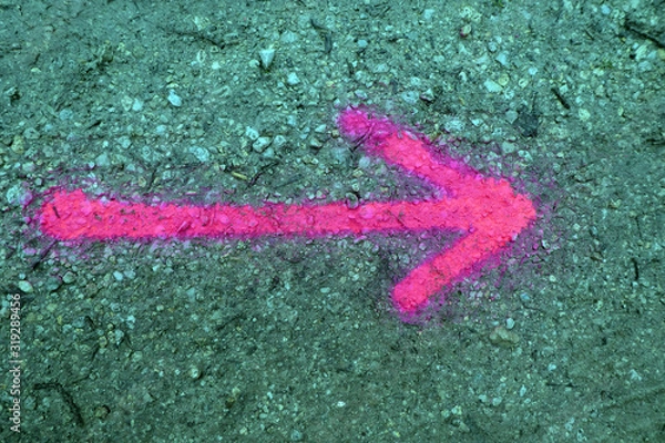 Fototapeta Richtungspfeile in Pink