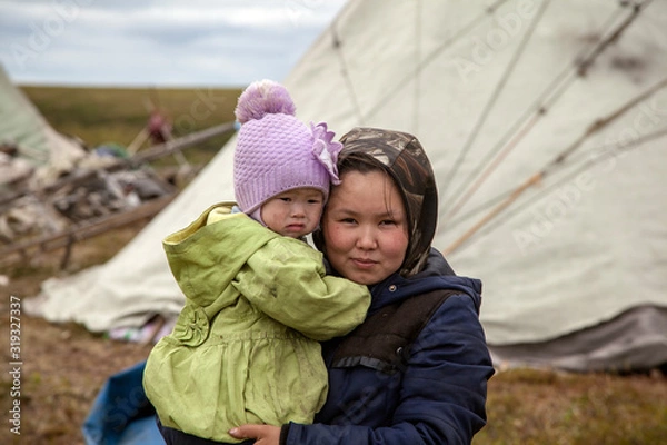 Fototapeta Yamal,   reindeers in Tundra, pasture of Nenets