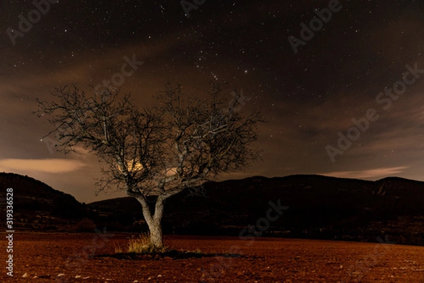 Fototapeta dark and lonely tree with stars background