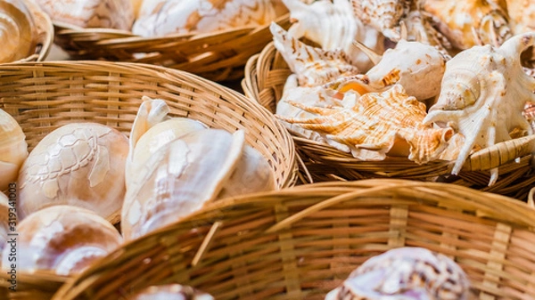Fototapeta Baskets of shells for sale in Amalfi, Italy little shop. Beautiful hand-picked shells from the local beaches.   