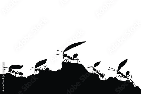 Obraz working ants with leaves silhouette vector
