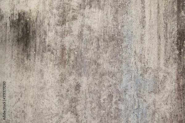 Obraz Abstract,Texture of old concrete wall,Grey Cement textured abstract background,old wall with lichen,Dirty white wall background close up moss texture on cement wall
