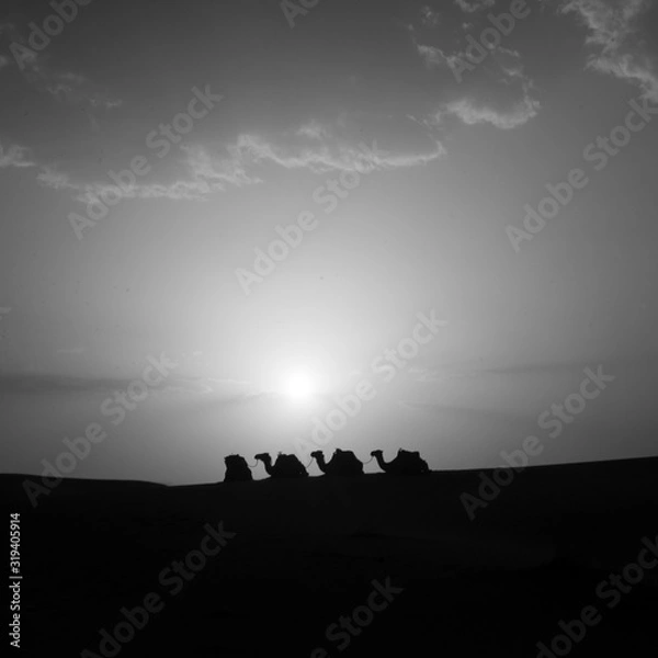 Obraz Atardecer en la duna