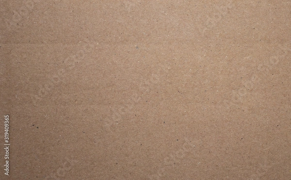Obraz Cardboard Background