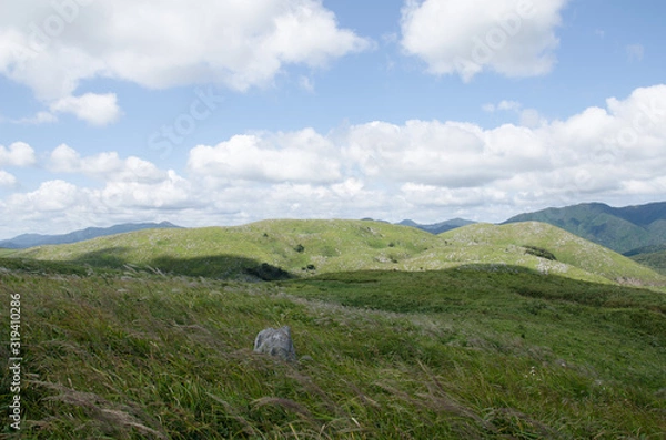 Fototapeta 平尾台