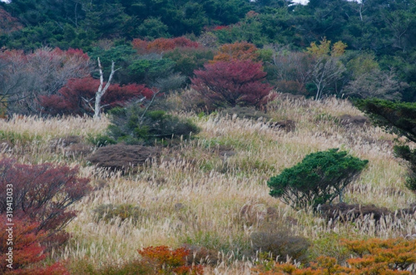Fototapeta 秋の山