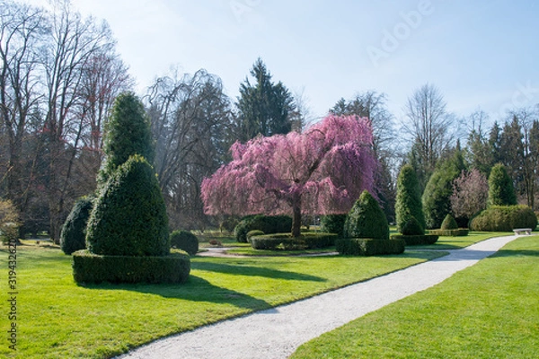 Obraz Green garden in spring