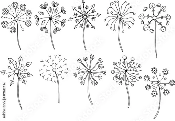 Fototapeta Vintage floral and herbal set. Graphic collection with fantasy flowers of dandelion. Hand drawn elements. Botanical illustrations on a white background