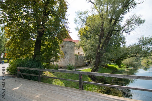 Obraz path in the park