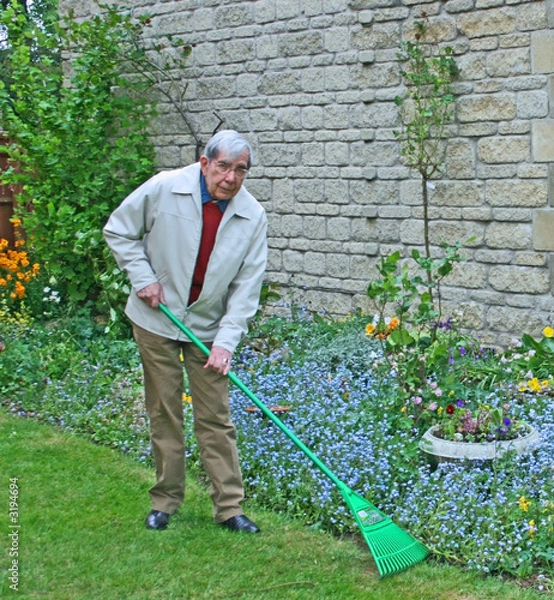Fototapeta a retired gentleman raking the grass