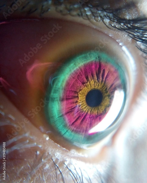 Obraz iris eye eyeball human blue macro vision look