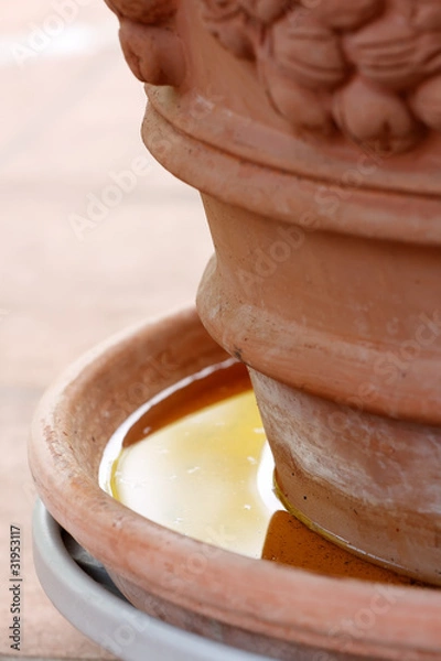Obraz Ristagno di acqua in sottovaso