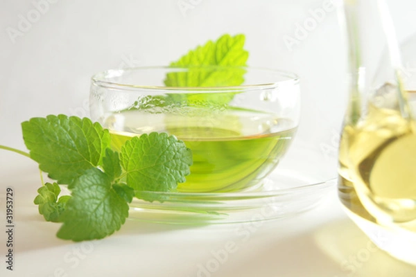 Fototapeta melissentee