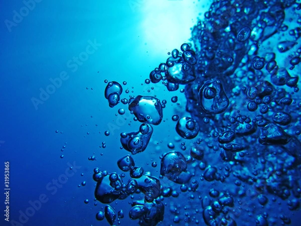 Obraz Sea bubbles