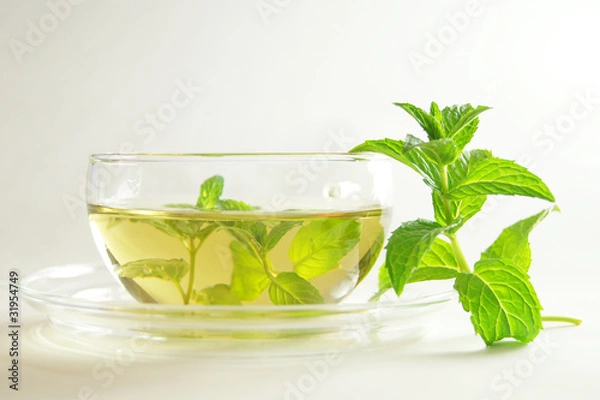 Fototapeta pfefferminztee