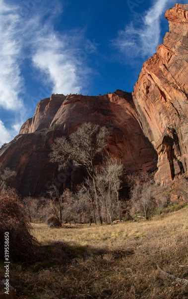 Fototapeta Extreme wide-angle or fisheye image of steep cliffs and winter foliage in Zion National Park, Utah