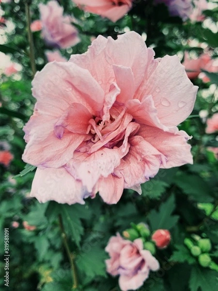 Obraz Processed with VSCO with g3 preset