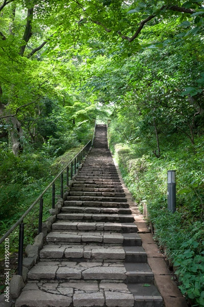 Fototapeta 田園調布せせらぎ公園（東京都大田区）
