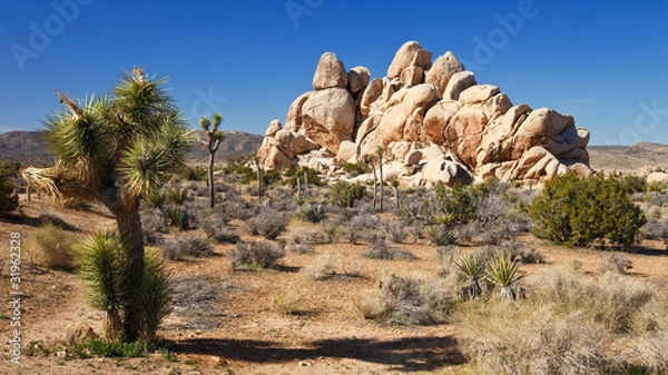 Obraz Mojave Desert Panorama