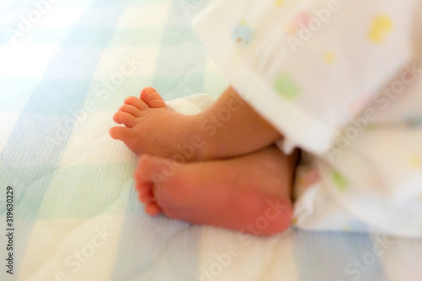 Fototapeta あんよ