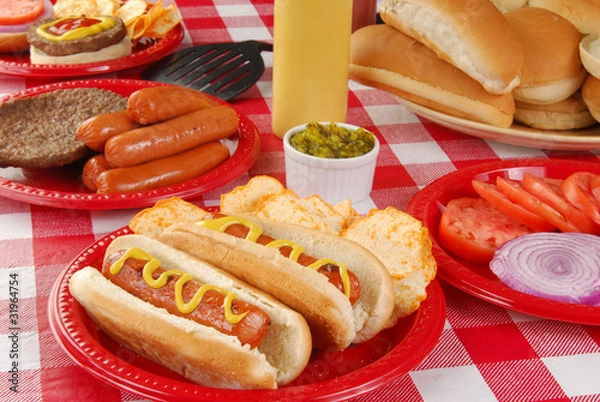 Obraz Summer picnic