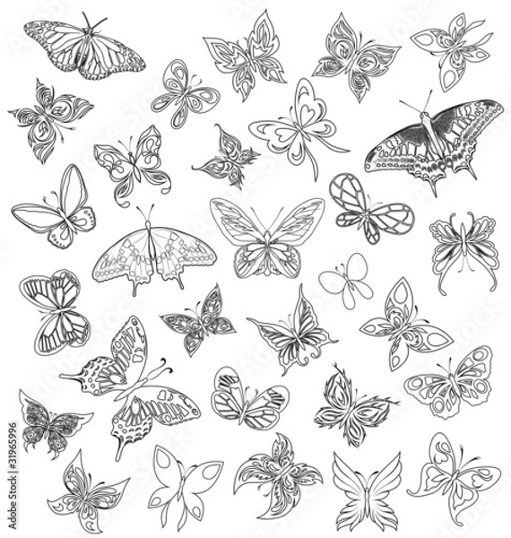 Obraz Set  black white butterflies of a tattoo
