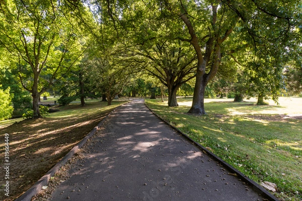 Fototapeta path in the park