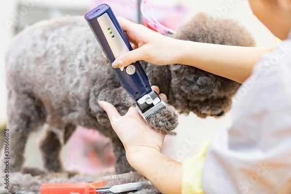 Fototapeta トリミングをする女性　カット