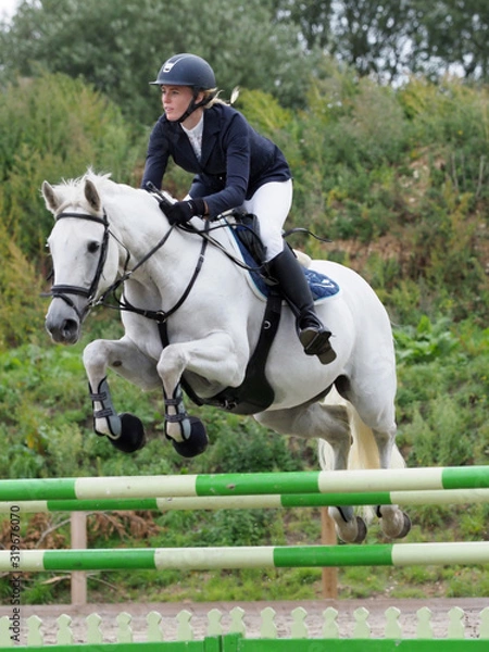 Obraz Showjumping Horse
