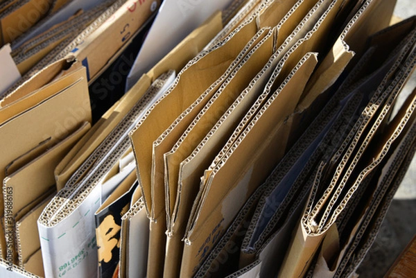 Obraz ダンボール