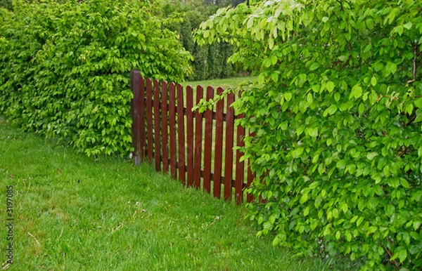 Obraz płot ogrodowy