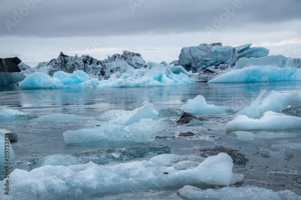 Fototapeta Blue icebergs floating in the water