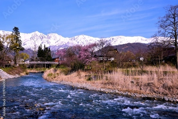 Fototapeta 白馬村の春