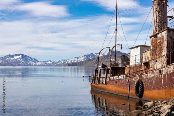 Fototapeta Walfänger