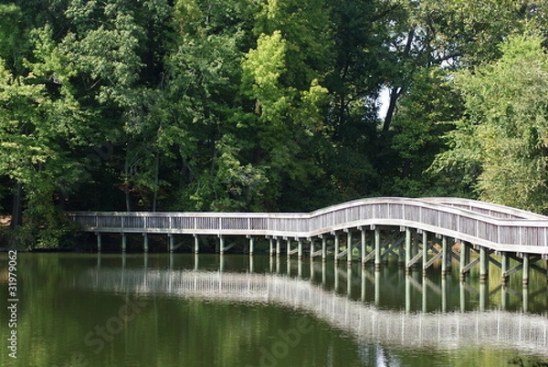 Obraz Foot Bridge