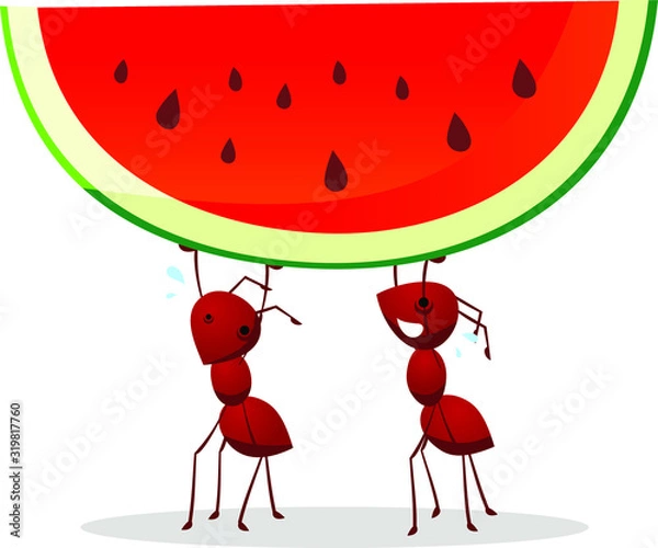 Obraz ants carrying watermelon