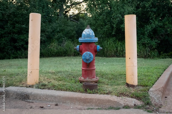 Fototapeta Fire hydrant