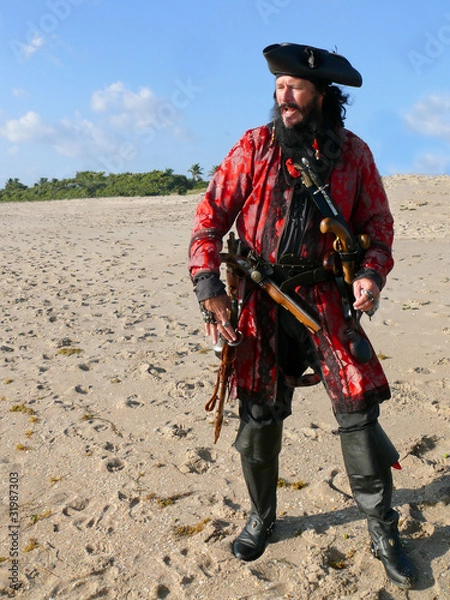 Obraz Full Length Costumed Pirate on the Beach