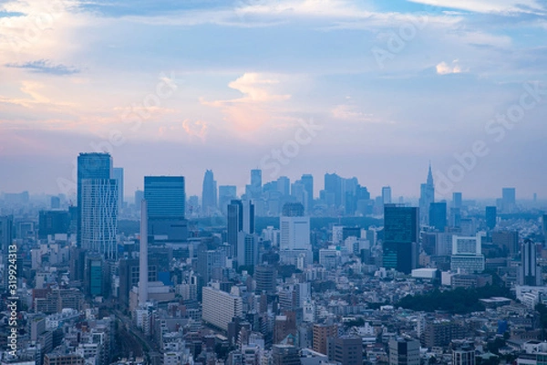 Fototapeta 日本・東京の夕方の景色