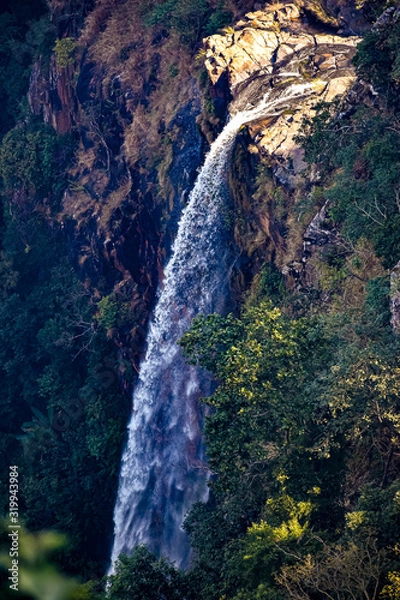 Obraz waterfall in forest