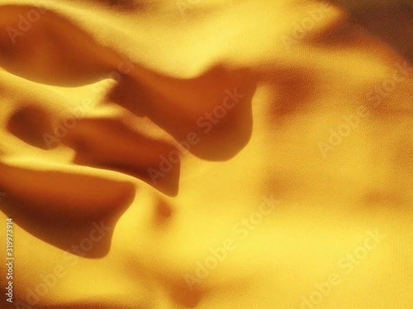 Obraz flower on black background