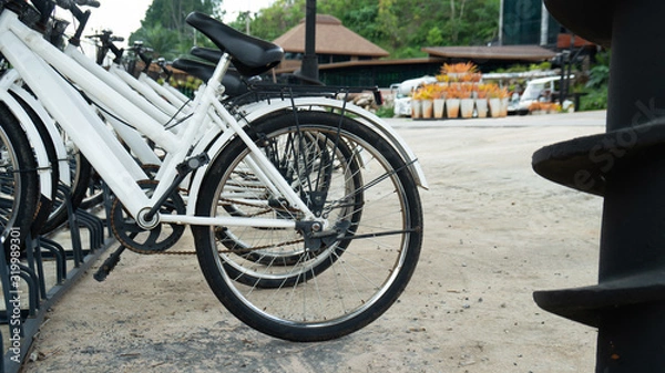 Fototapeta parked bicycles on a bicycle parking at the road