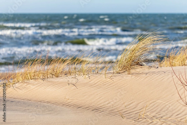 Obraz Sandy dunes and sea view 