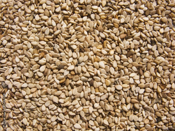 Obraz White sesame seeds