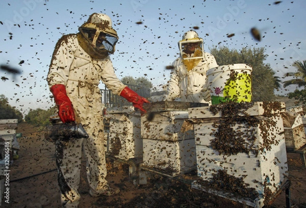 Obraz Beekeepers