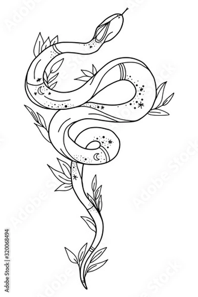 Fototapeta Vintage line snake. Vector illustration.  Collection of Mystical and Mysterious objects. Line art illustration isolated on white background.