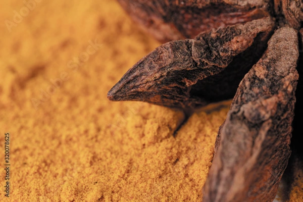 Obraz Tumeric yellow spice with star anise for curry