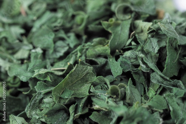 Obraz Dry green parsley seasoning herb close-up