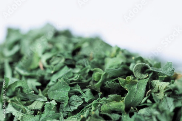 Obraz Dry green parsley seasoning herb macro